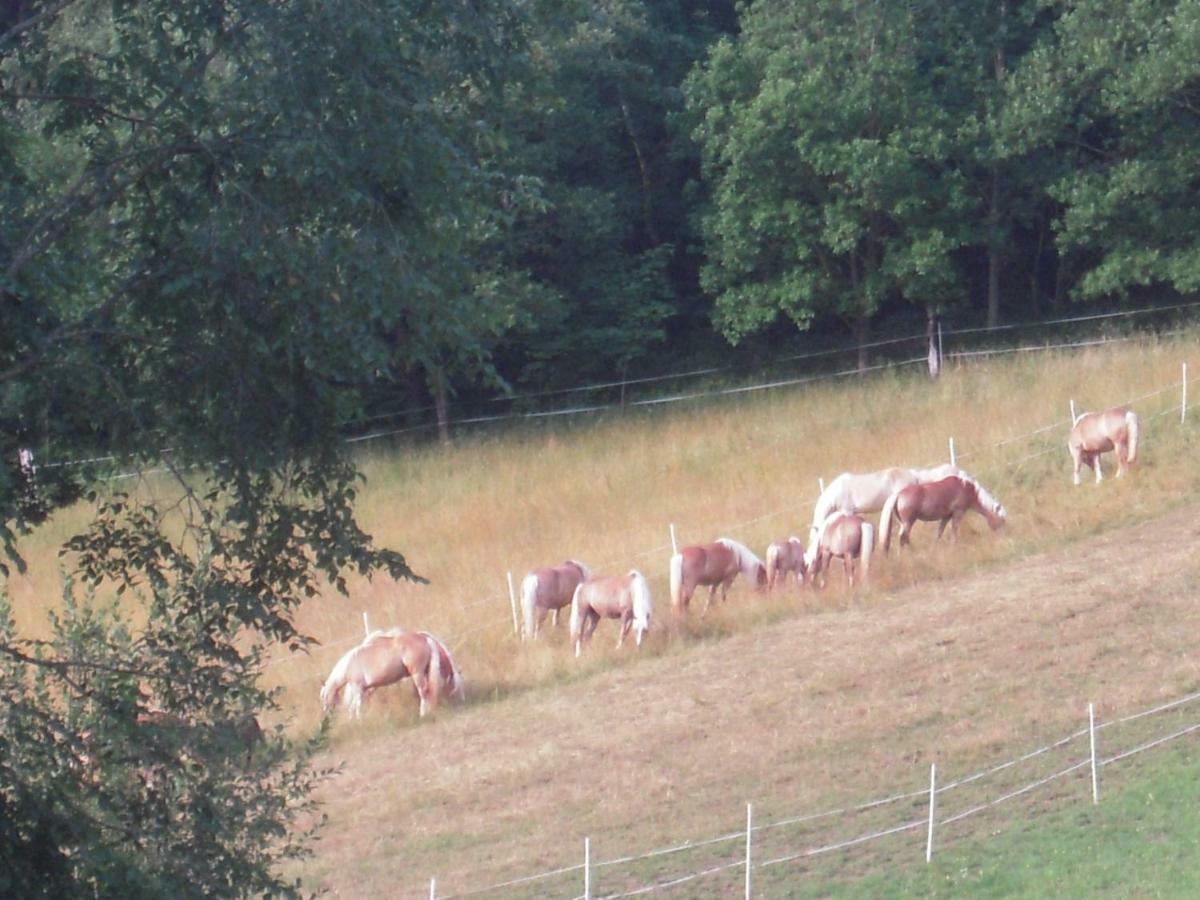 Haflingerhof Luef Villa Bad Schönau Eksteriør billede