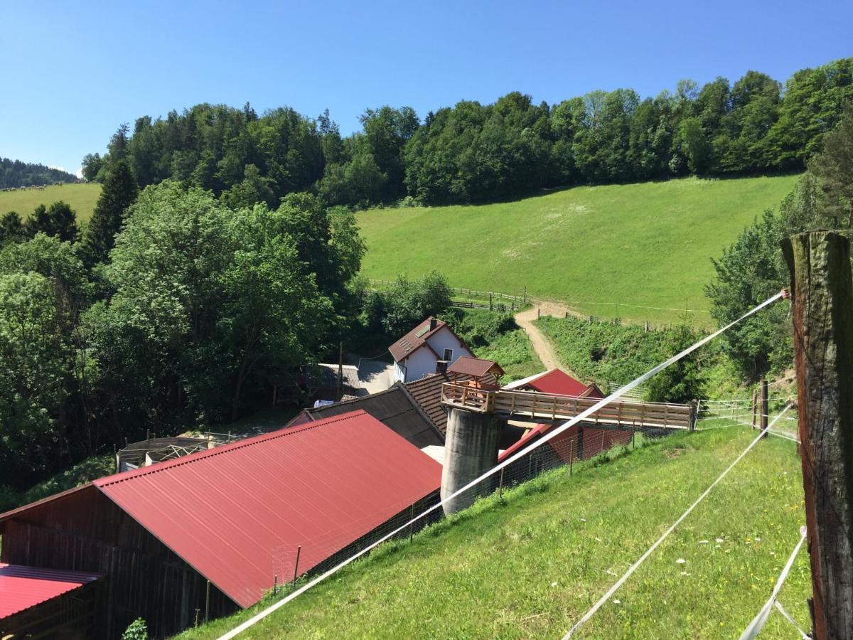 Haflingerhof Luef Villa Bad Schönau Eksteriør billede