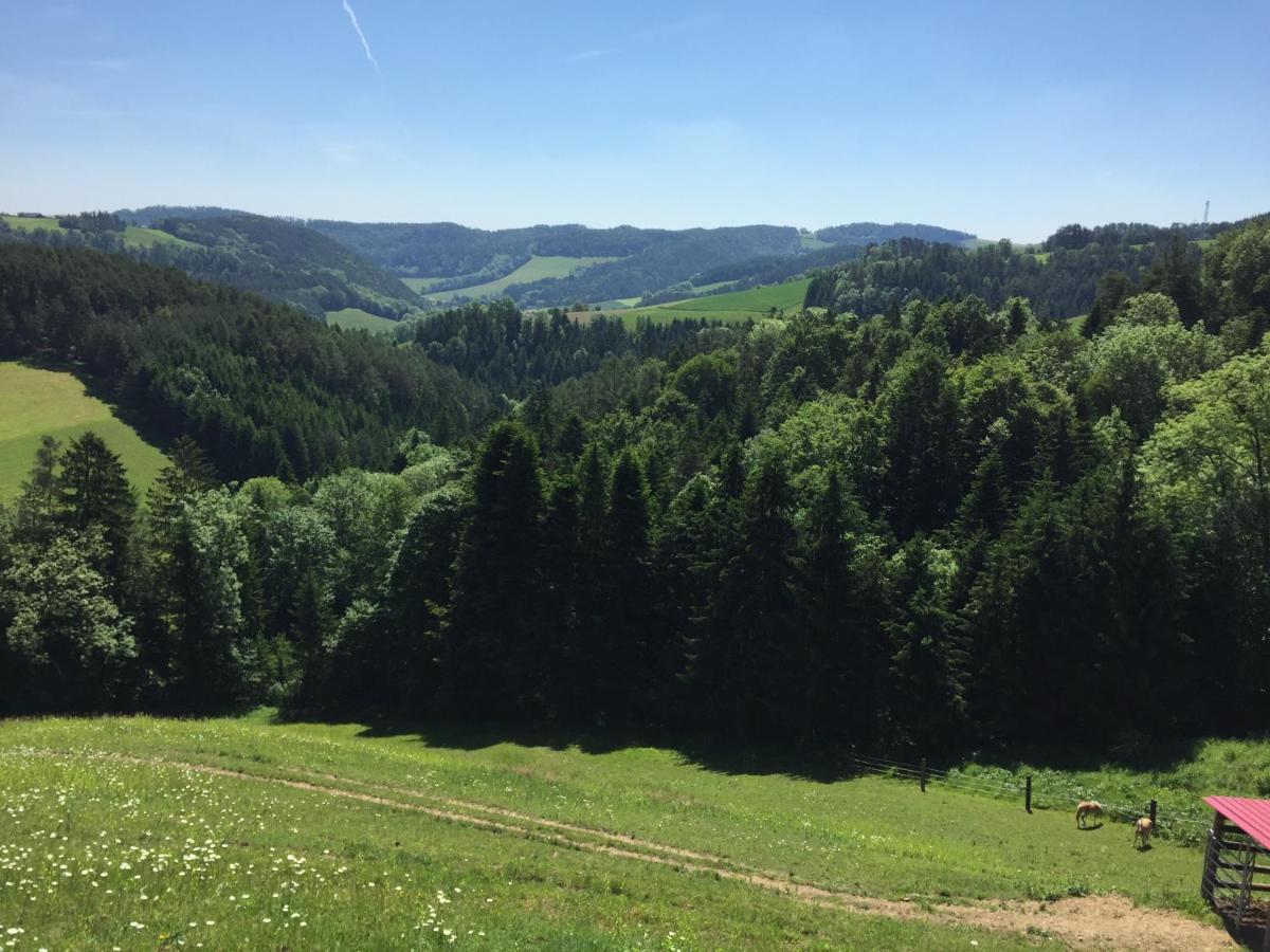 Haflingerhof Luef Villa Bad Schönau Eksteriør billede